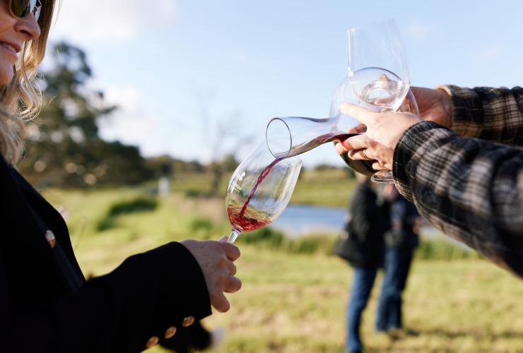 Red wine pours from a decanter into a wine glass with grass in the background at Howard Vineyard, Adelaide Hills, South Australia © Josh Geelen 