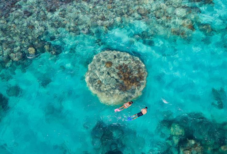An aerial view of two snorkellers in clear blue water with coral below them in the Whitsundays, Great Barrier Reef, Queensland © Tourism Whitsundays