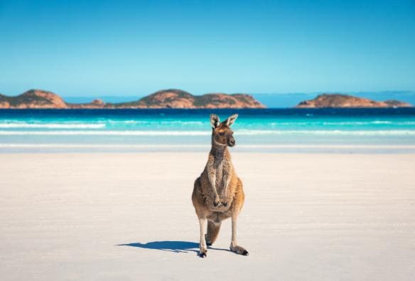 Vịnh Lucky, Vườn quốc gia Cape Le Grand, WA © Tourism Australia