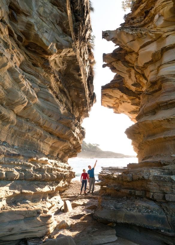 Wasp Head, Vườn quốc gia Murramarang, NSW © Destination NSW