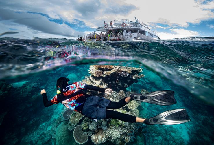 昆士蘭州開恩茲的Dreamtime Dive and Snorkel©澳洲旅遊局
