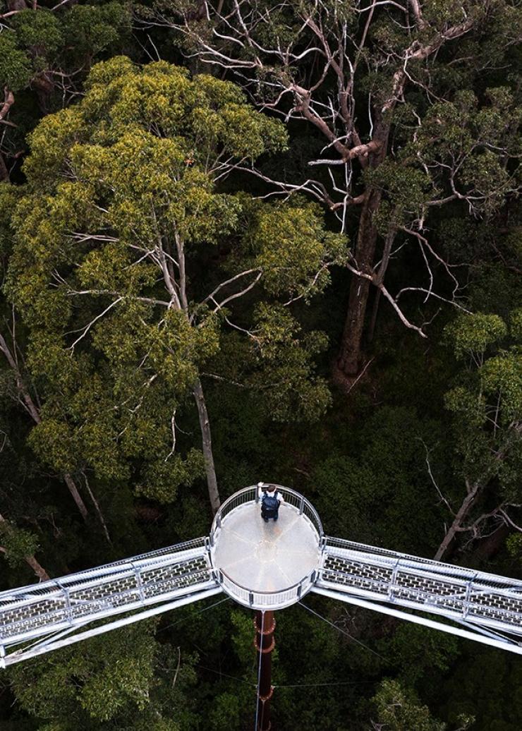 西澳州沃爾波爾（Walpole）的巨人谷©澳洲旅遊局
