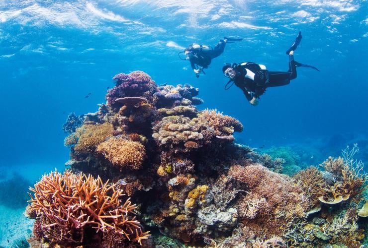 昆士蘭州大堡礁絲帶礁的挑戰者灣（Challenger Bay）©昆士蘭旅遊及活動推廣局
