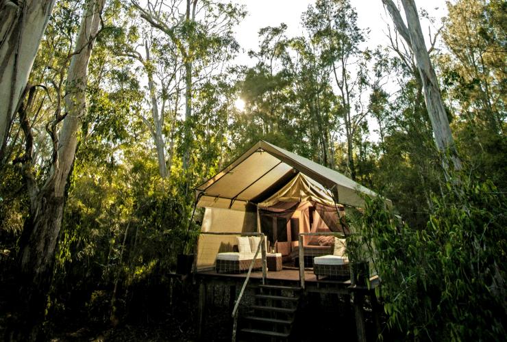 新南威爾士州（New South Wales）杰維斯海灣的白千層營地©白千層營地