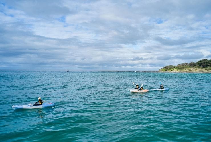 維多利亞州大洋路的Apollo Bay Surf & Kayak©澳洲旅遊局