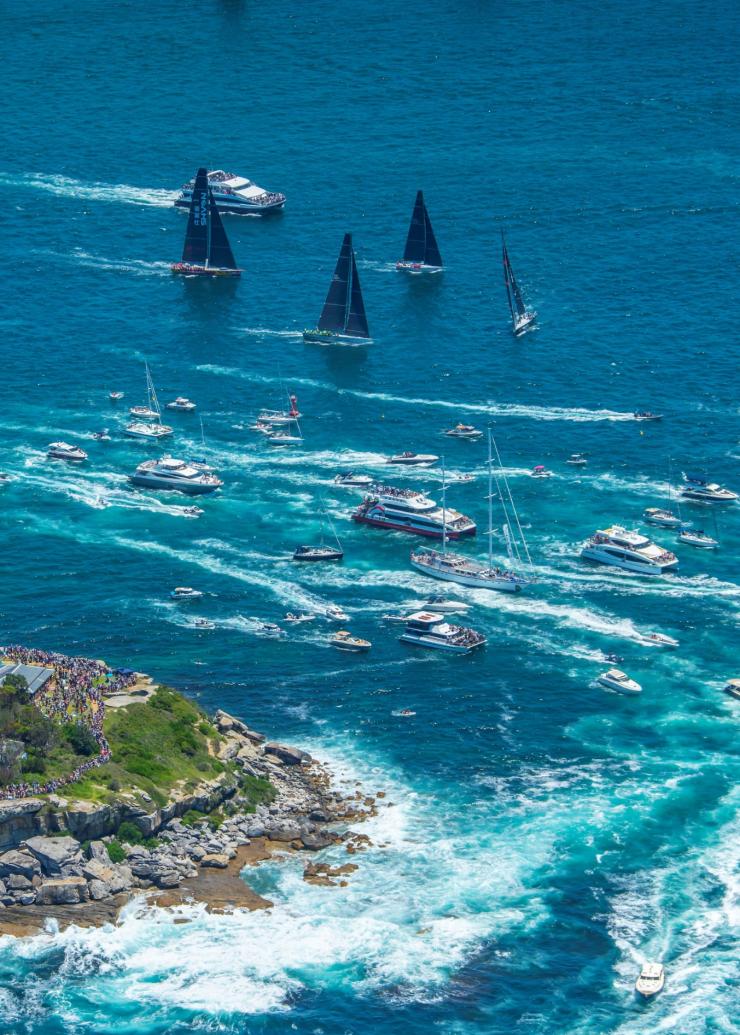 新南威爾士州悉尼的悉尼至荷伯特帆船賽©新南威爾士州旅遊局