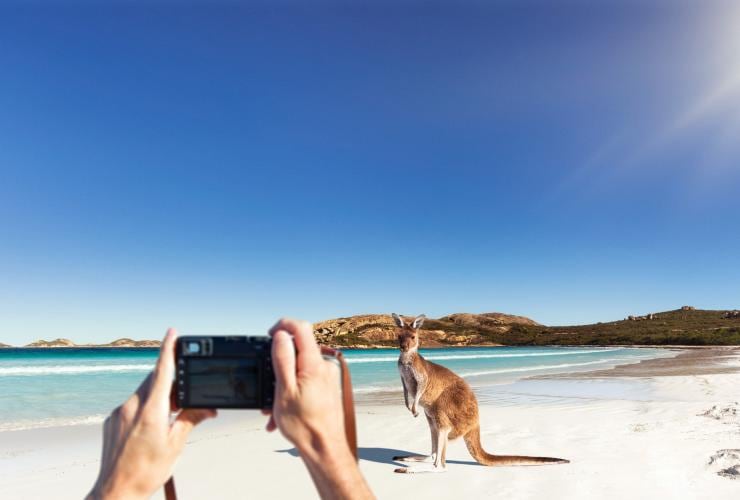 西澳州勒格蘭德角國家公園的幸運灣©澳洲旅遊局