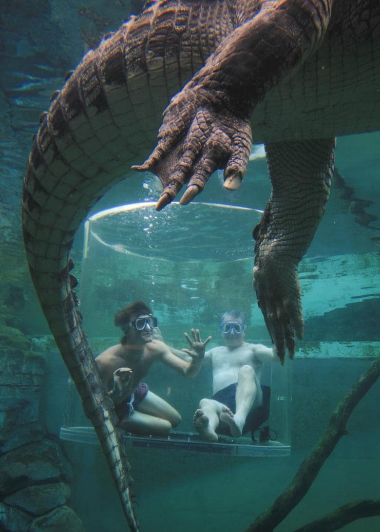 北領地達爾文鱷魚主題公園（Crocosaurus Cove）©澳洲旅遊局