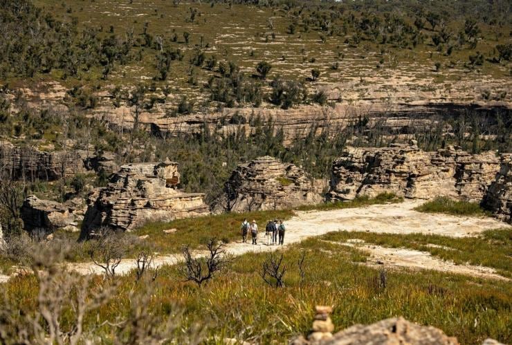 新南威爾士州沃根谷的沃根谷生態團©新南威爾士州旅遊局