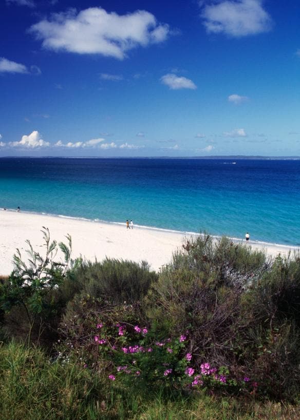 新南威爾士州杰維斯海灣的Hyams Beach©澳洲旅遊局