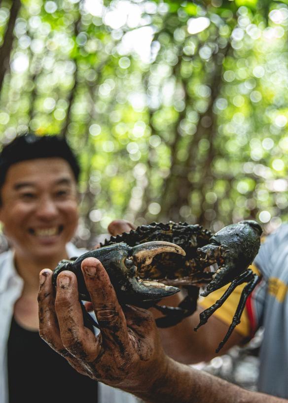 昆士蘭州庫亞海灘短程流浪文化冒險之旅一位原住民導遊與遊客站在雨林中，手上拿着一隻泥蟹©澳洲昆士蘭州旅遊及活動推廣局