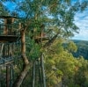 新南威爾士州藍山Wollemi Forest©瓦勒邁小屋