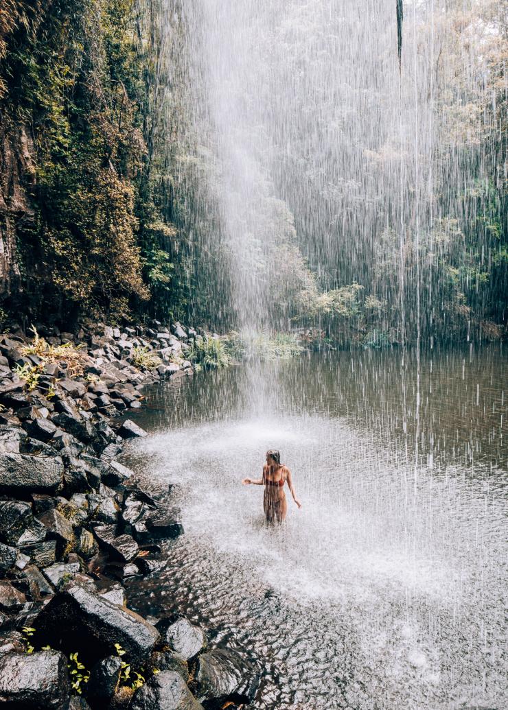 昆士蘭州米拉米拉（Millaa Millaa）的米拉米拉瀑布©昆士蘭旅遊及活動推廣局/Kyle Hunter