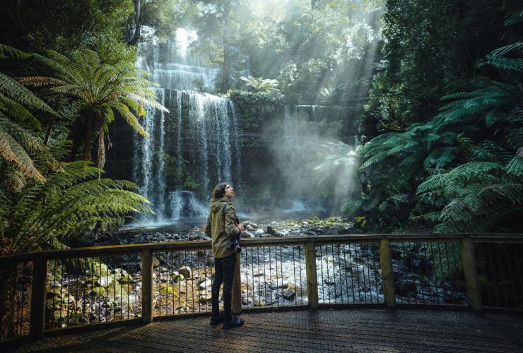 塔斯曼尼亞菲爾山國家公園的羅詩瀑布©Jason Charles Hill
