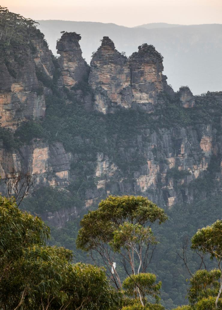 新南威爾士州藍山的三姊妹峰©新南威爾士州旅遊局