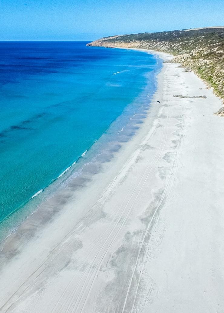 南澳州袋鼠島的鴯鶓灣©南澳州旅遊局