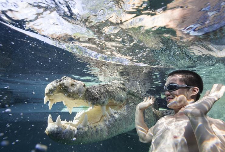 北領地達爾文鱷魚主題公園的死亡之籠（Cage of Death）©北領地旅遊局