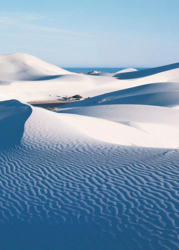西澳州（Western Australia）尤克拉（Eucla）的尤克拉沙丘（Eucla Sand Dunes）©西澳州旅遊局