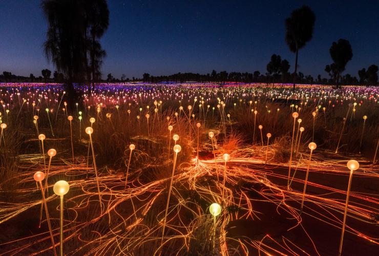 北領地烏魯魯的原野星光展（Field of Light）©北領地旅遊局/Matt Glastonbury