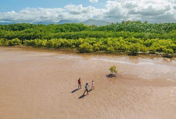 昆士蘭熱帶昆士蘭州北部（Tropical North Queensland）道格拉斯港（Port Douglas）短程流浪文化冒險之旅的高空景致，兩個人跟拿著長矛的原住民導遊在泥灘上漫步，一旁是翠綠的紅樹林©澳洲旅遊局
