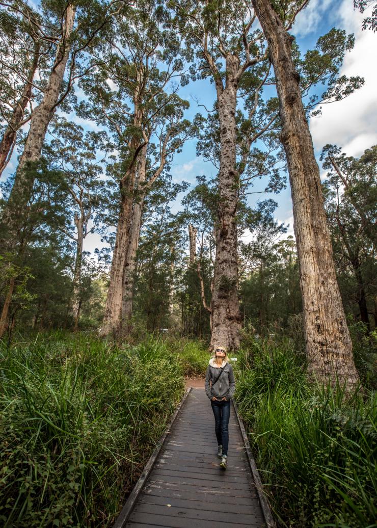 西澳州沃爾波爾的巨人谷©Greg Snell Photography