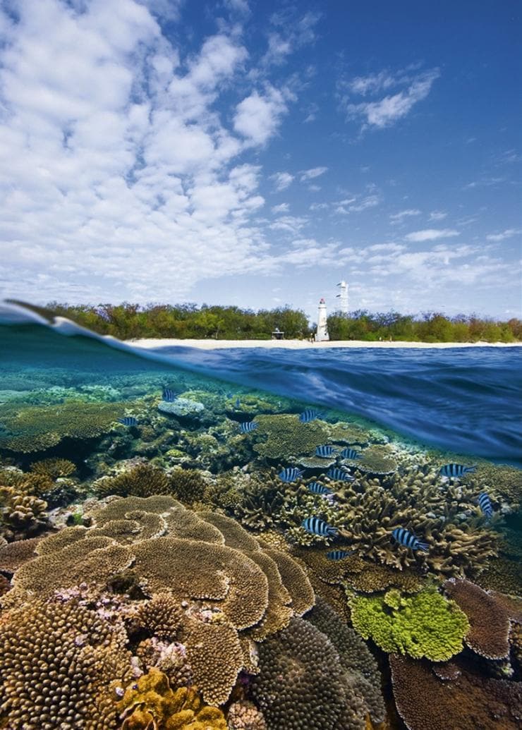 昆士蘭州的伊利特女士島生態度假村（Lady Elliot Island Eco Resort）©伊利特女士島生態度假村