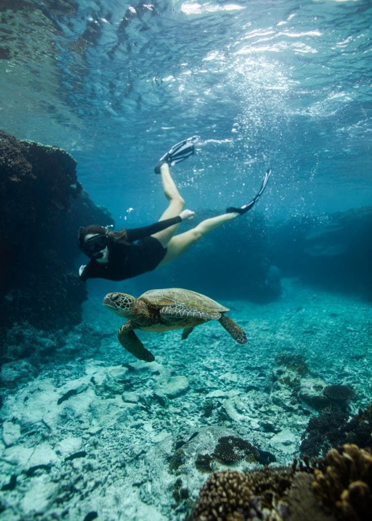 昆士蘭州大堡礁伊利特女士島©昆士蘭旅遊及活動推廣局