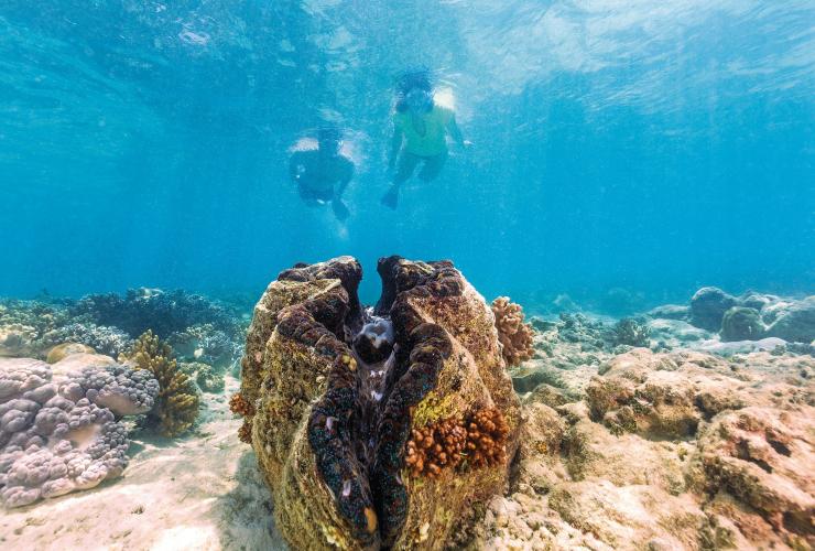 昆士蘭州（Queensland）大堡礁的麥克馬斯岩礁©昆士蘭旅遊及活動推廣局