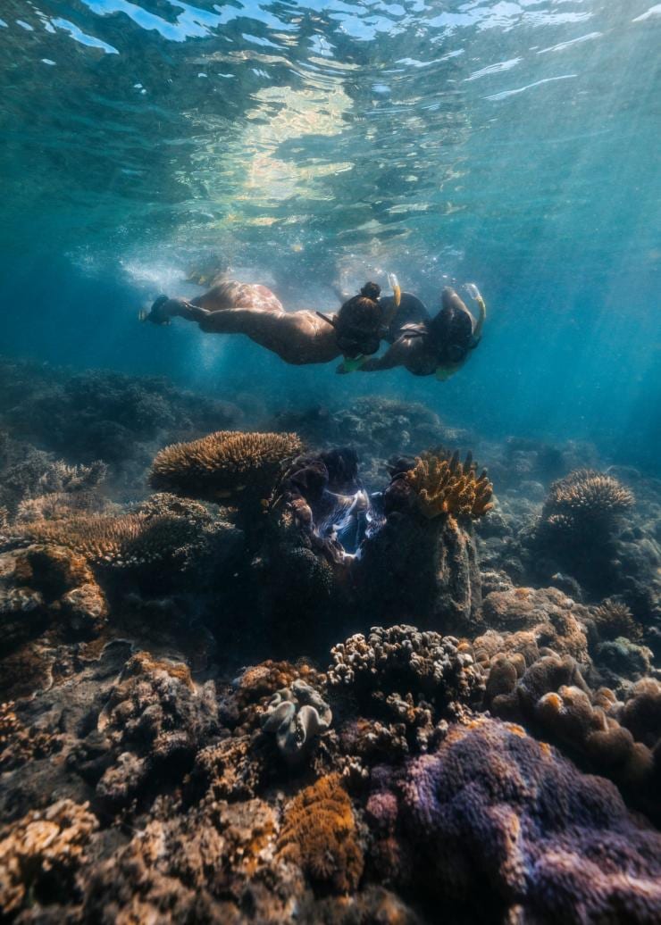 昆士蘭州洛島大堡礁快艇©昆士蘭旅遊及活動推廣局