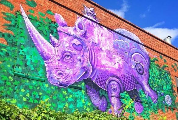 南澳州（South Australia）阿德萊德市中心的Rhino Room©Rhino Room