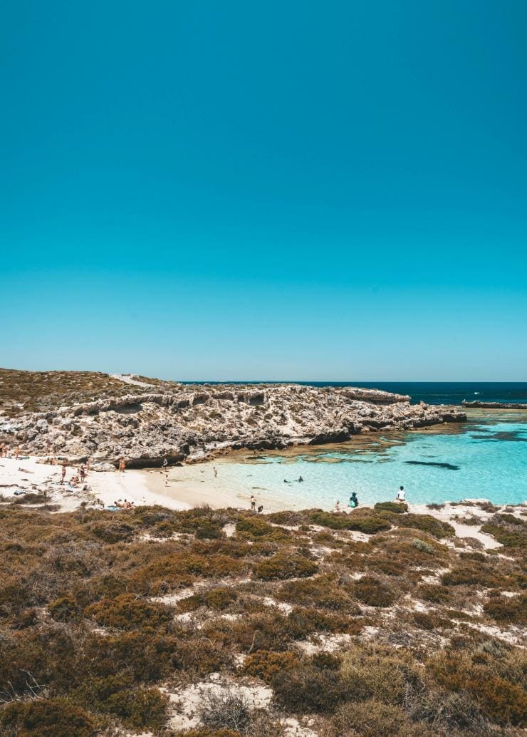 西澳州羅特尼斯島小鮭魚灣©西澳州旅遊局