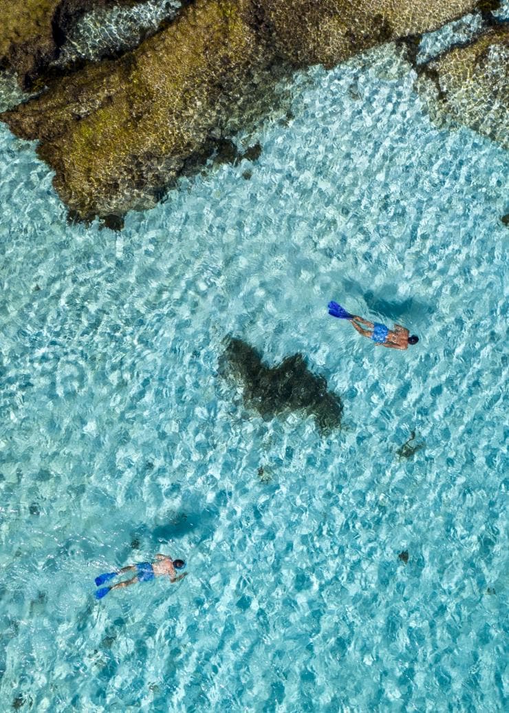西澳州珀斯羅特尼斯島©澳洲旅遊局