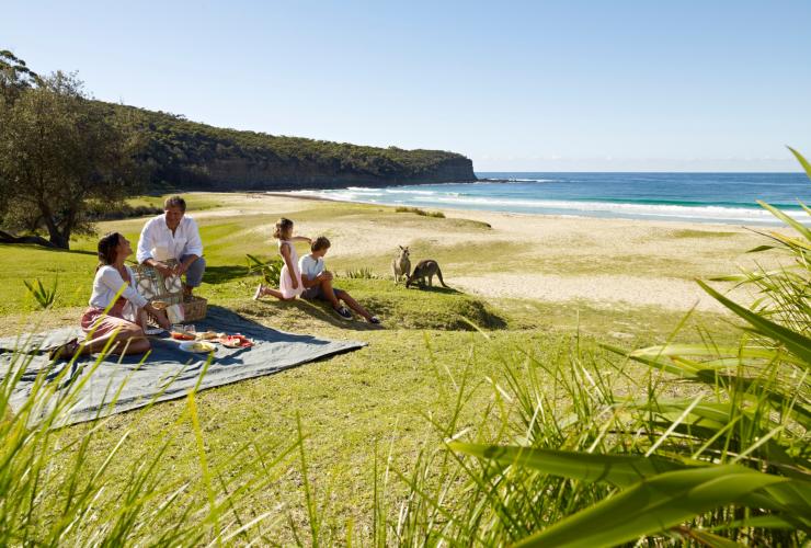 新南威爾士州南岸的培布利海灘（Pebbly Beach）©澳洲旅遊局