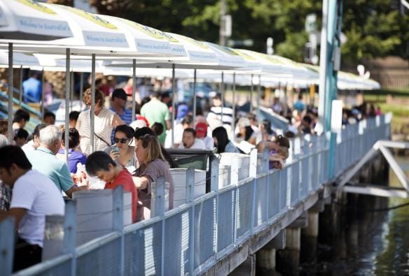 新南威爾士州悉尼皮爾蒙特的悉尼魚市場©新南威爾士州旅遊局/James Horan