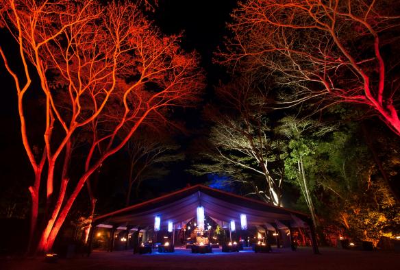 昆士蘭州（Queensland）道格拉斯港（Port Douglas）的Flames of the Forest雨林餐廳©Flames of the Forest