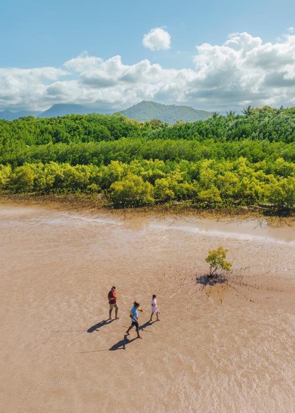 高空俯瞰昆士蘭州庫亞海灘短程流浪文化冒險之旅一位原住民導遊帶著兩名手持長矛的遊客走過一片被茂密綠林環繞的泥灘©澳洲旅遊局