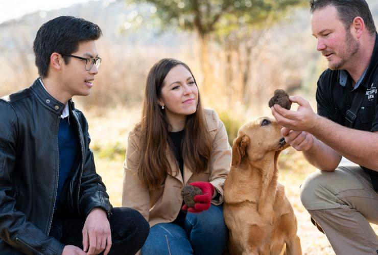 兩個人站在澳洲首都領地（Australian Capital Territory）馬德拉（Majura）松露農場的戶外區域，旁邊有一名拿著松露的導遊和一隻狗©澳洲旅遊局