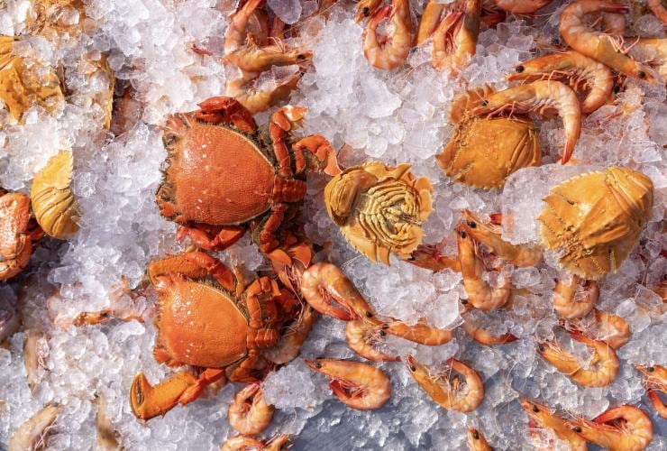 昆士蘭州黃金海岸漁民合作社的冰鎮鮮蝦、蟹與莫頓灣扇蝦©澳洲旅遊局 昆士蘭州黃金海岸的漁民合作社©澳洲旅遊局