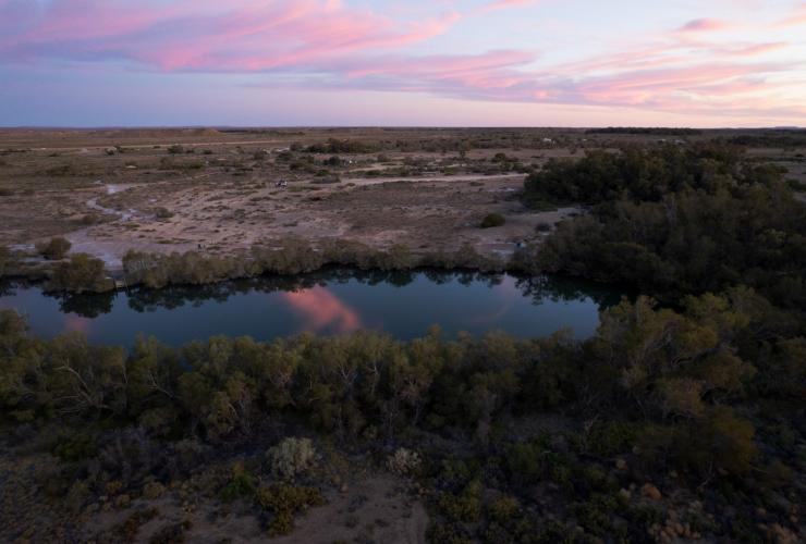 南澳州費蓮達山脈及內陸地區（Flinders Ranges & Outback）的達爾豪斯泉（Dalhousie Springs）©南澳州旅遊局