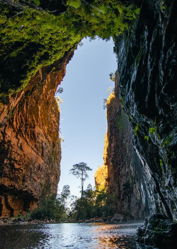 西澳州（Western Australia）金伯利（Kimberley）的艾瑪峽谷©澳洲旅遊局