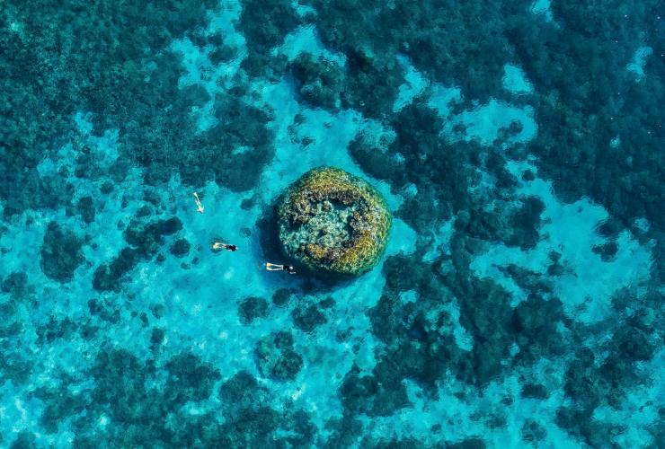 昆士蘭州大堡礁的威爾遜島©昆士蘭旅遊及活動推廣局