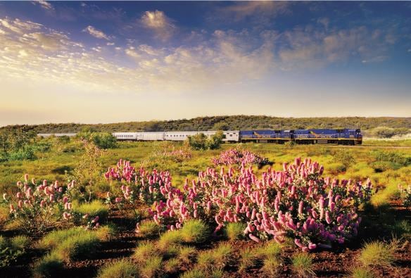印度洋-太平洋號列車©大南方鐵路公司（Great Southern Rail）