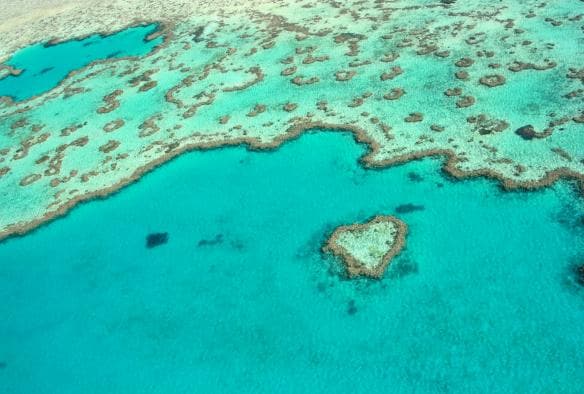 昆士蘭州聖靈群島（Whitsundays）大堡礁心形礁（Heart Reef）和周圍一帶珊瑚礁的高空景致©聖靈群島旅遊局
