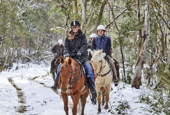 新南威爾士州大雪山上，Thredbo Valley Horse Riding導賞團其中一個面露笑容的團員的特寫鏡頭，全團騎著馬穿過白雪覆蓋的叢林©澳洲旅遊局