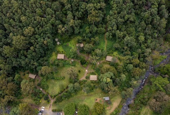 昆士蘭州雷明頓國家公園夜幕荒野露營地的高空景致，叢林中散佈了豪華露營帳篷©昆士蘭旅遊及活動推廣局