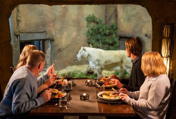 澳洲首都領地坎培拉的Jamala Wildlife Lodge內，四個人坐在窗旁在享用晚餐和飲紅酒，窗另一邊的圍場內一隻獅子在踱步©澳洲旅遊局