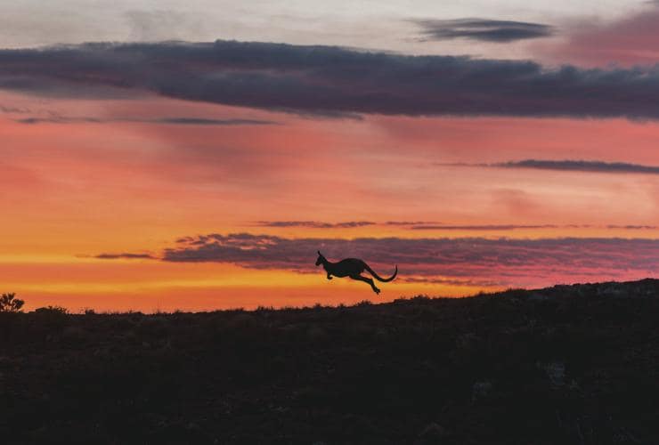 南澳州（South Australia）費蓮達山脈（Flinders Ranges）的阿卡巴保護區（Arkaba Conservancy）©南澳州旅遊局