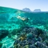 新南威爾士豪勳爵島©Trevor King，新南威爾士州旅遊局