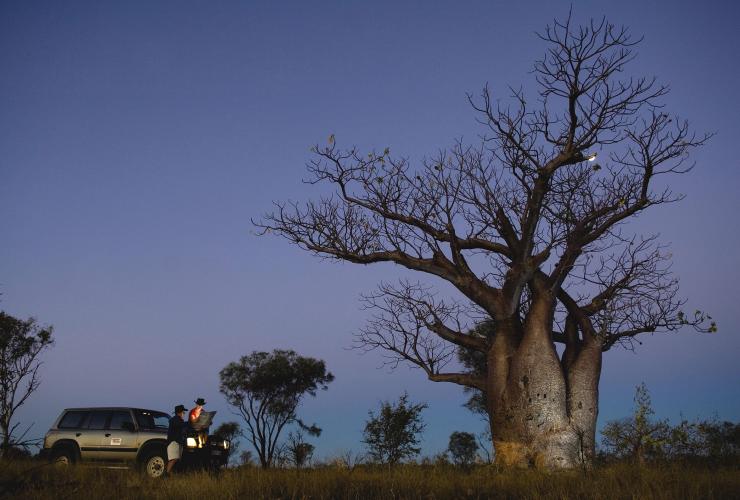 西澳州Derby的猴麵包樹©西澳州旅遊局