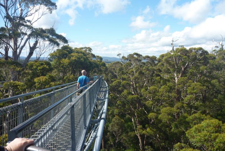 西澳州沃爾波爾-諾納拉普國家公園（Walpole-Nornalup National Park）樹頂步道（Tree Top Walk）巨人谷©Jean Leggat